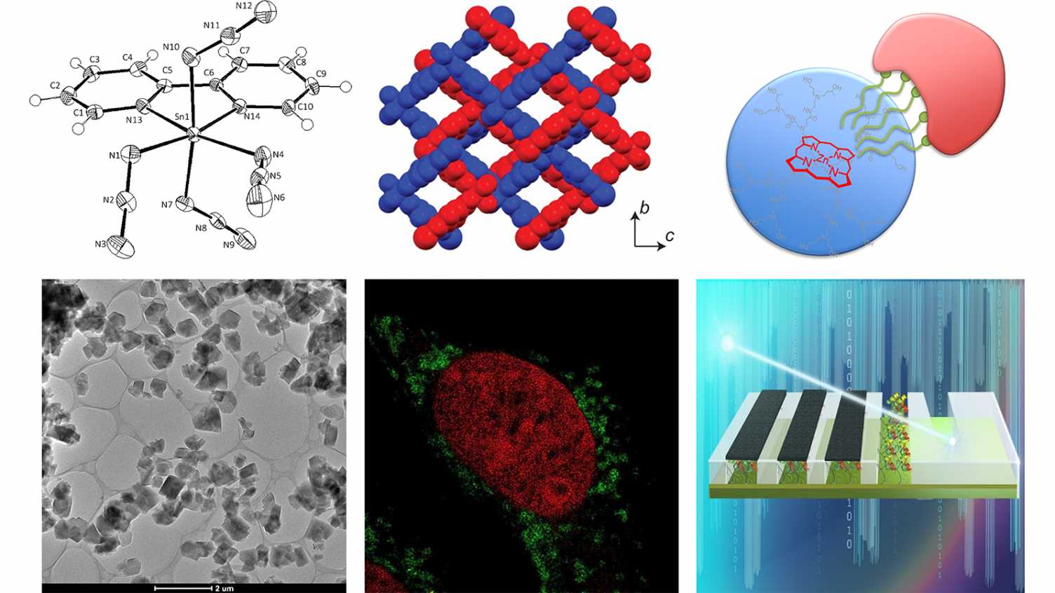 Supramolecular Chemistry And Materials | Chemistry | The University Of ...